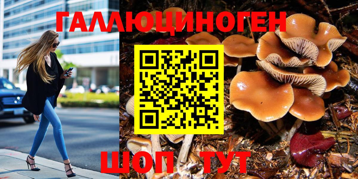Псилоцибиновые грибы ЛСД Десногорск