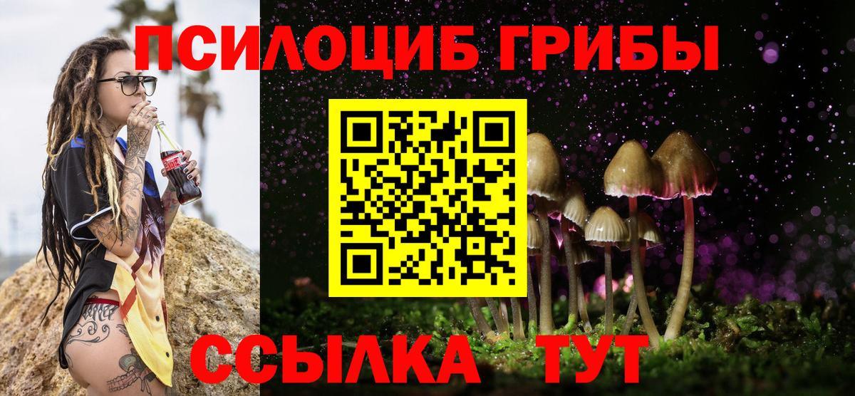 Десногорск  продажа наркотиков  Вход с VPN  Псилоцибиновые грибы мицелий  Псилоцибиновые грибы мицелий 